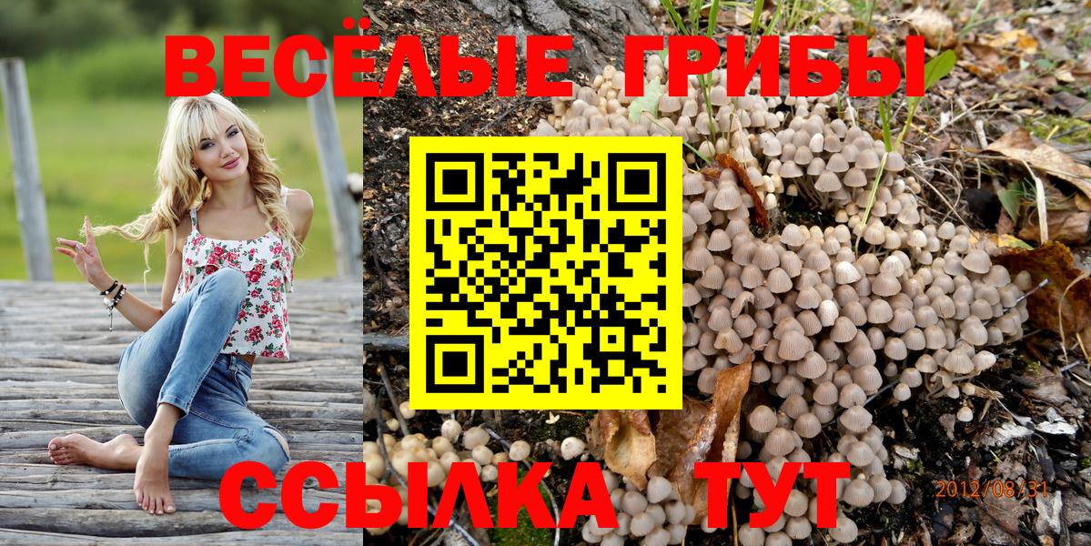 Медногорск  Галлюциногенные грибы Cubensis  Вход с VPN 