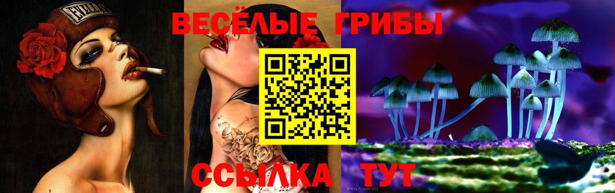 Псилоцибиновые грибы GOLDEN TEACHER Медногорск